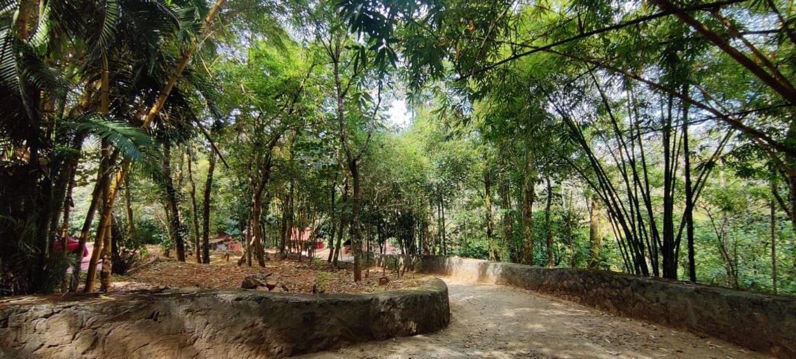 Clay Resort By Bestinn Leisure - Wayanad Padinjarathara Εξωτερικό φωτογραφία